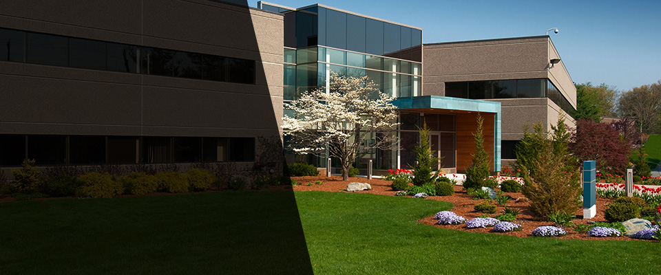 South Saint Paul Landscapers