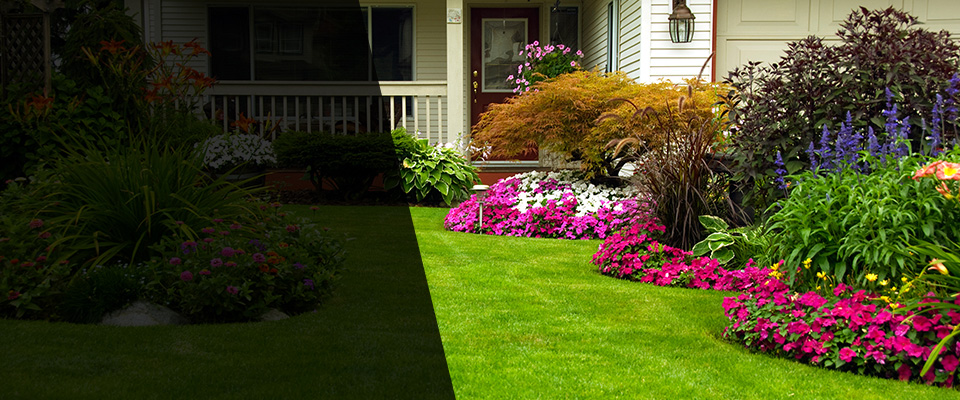 South Saint Paul Landscapers