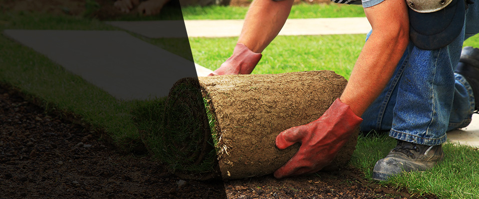 South Saint Paul Landscapers